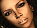 Snapshot_343
