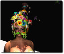 NettiksGarden.v1