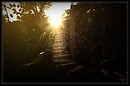 PathIntoTheLight
