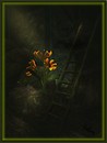 ladder