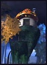 Fungal Retreat