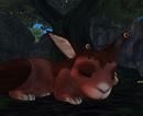 Kititas takes her new snail home way too seriously.