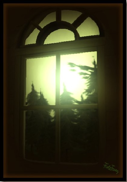 ForrestBehindWindow