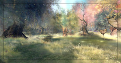 Jardin d'Eden