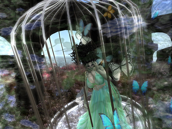 Butterfly Cage