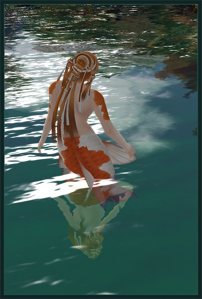 Koi Pond