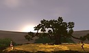 many cinematic views - torley.olmstead