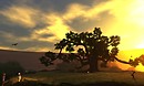 ash said this tree looks great in different windlight settings...
 she was  right! - torley.olmstead