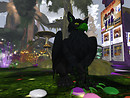 Q as a gryphon FFC 2012