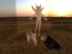 The Companion - Kromosomer project