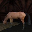 http://maps.secondlife.com/secondlife/Angel%20Manor%20Estate/93/58/29 - josef.balbozar