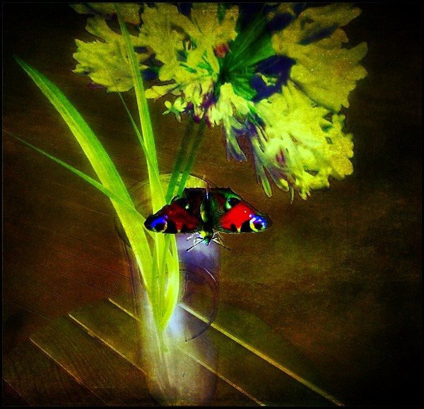 Don't touch my wings...