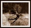 Falling into the flowers of happiness
