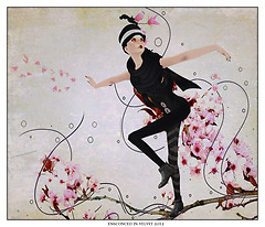 Amongst the cherry blossoms…