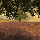 http://maps.secondlife.com/secondlife/Pink%20Flamingo/79/198/22 - josef.balbozar