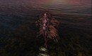 Second Life からのポストカードです。 - teto.sosa