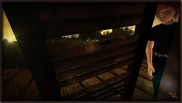 WindowShutter