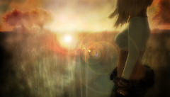 sometimes I wish I could show you..