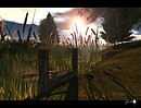 Evening will come soon