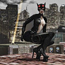 purrrrrrrrrrrrrrrrr