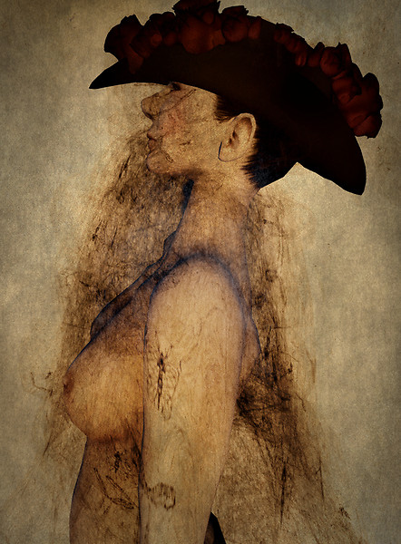 veil