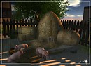 Three little pigs...