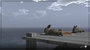 Rabbits may dream of the ocean too