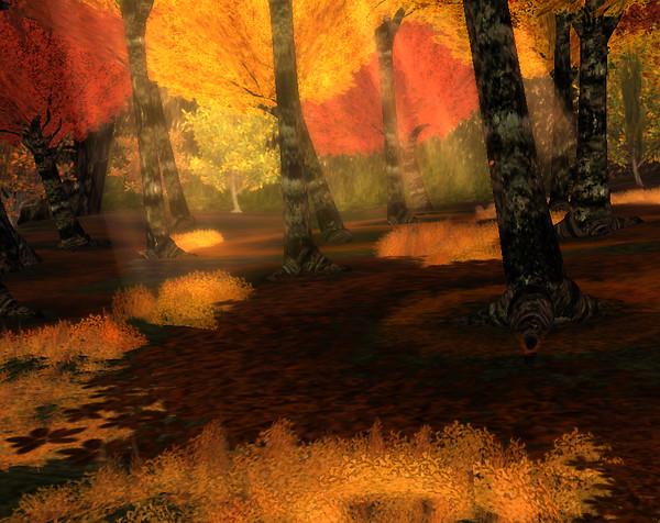 Colours of Nature  2