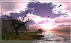 黎明　dawn