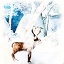 Reindeer in the Hills