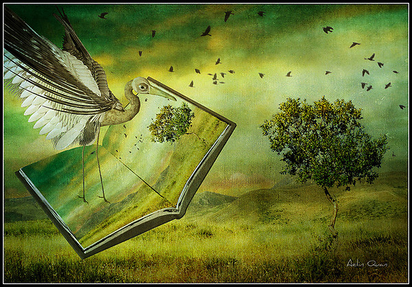 Birds of Hope