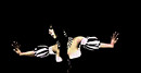 Snapshot_011