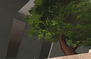 The new 22769 [opening soon]