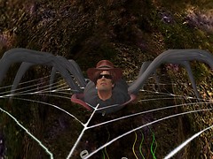 IM_Snapshot_006
