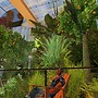 *The SL Botanical Gardens * - hynesyte.harbour