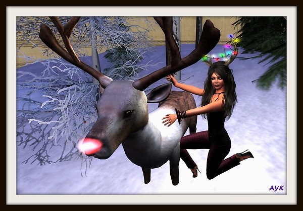 I tamed a reindeer
