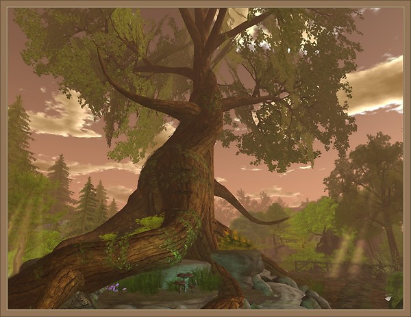Dreaming of Trees