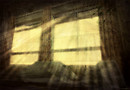 Dust and lights