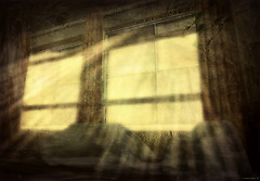 Dust and lights