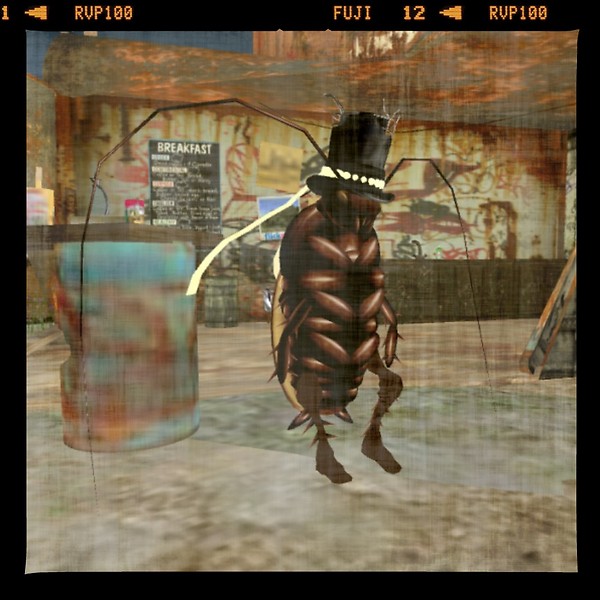 Cockroach