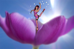 Blossom