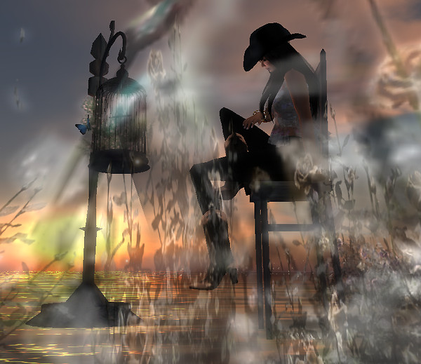 Cowboy Dreaming