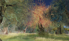 walkways_001
