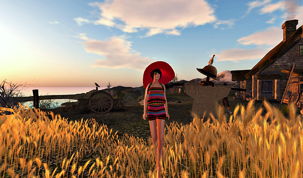 in the field