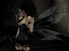 Dark Angel