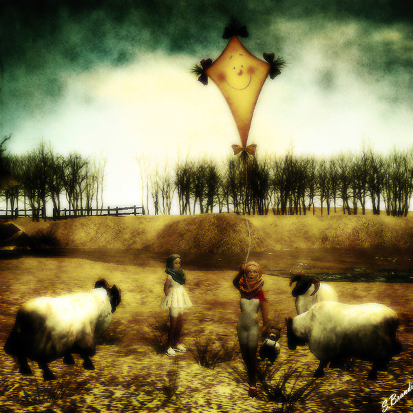 The yellow kite