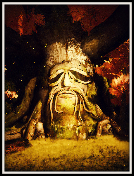Old Father
