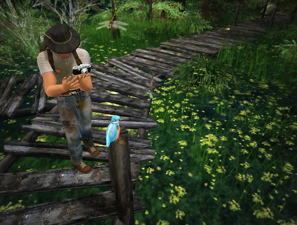 Second Life Geographic 30