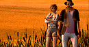 Noweeta Grassland, Pink Flamingo