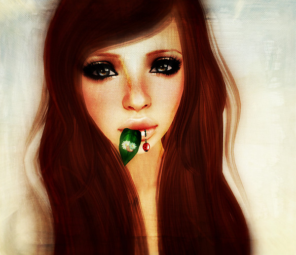 ladybug